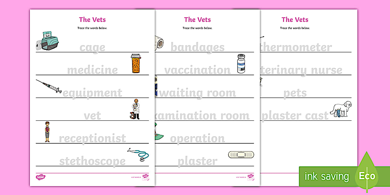 The Vets Aistear Trace the Words Worksheet (teacher made)