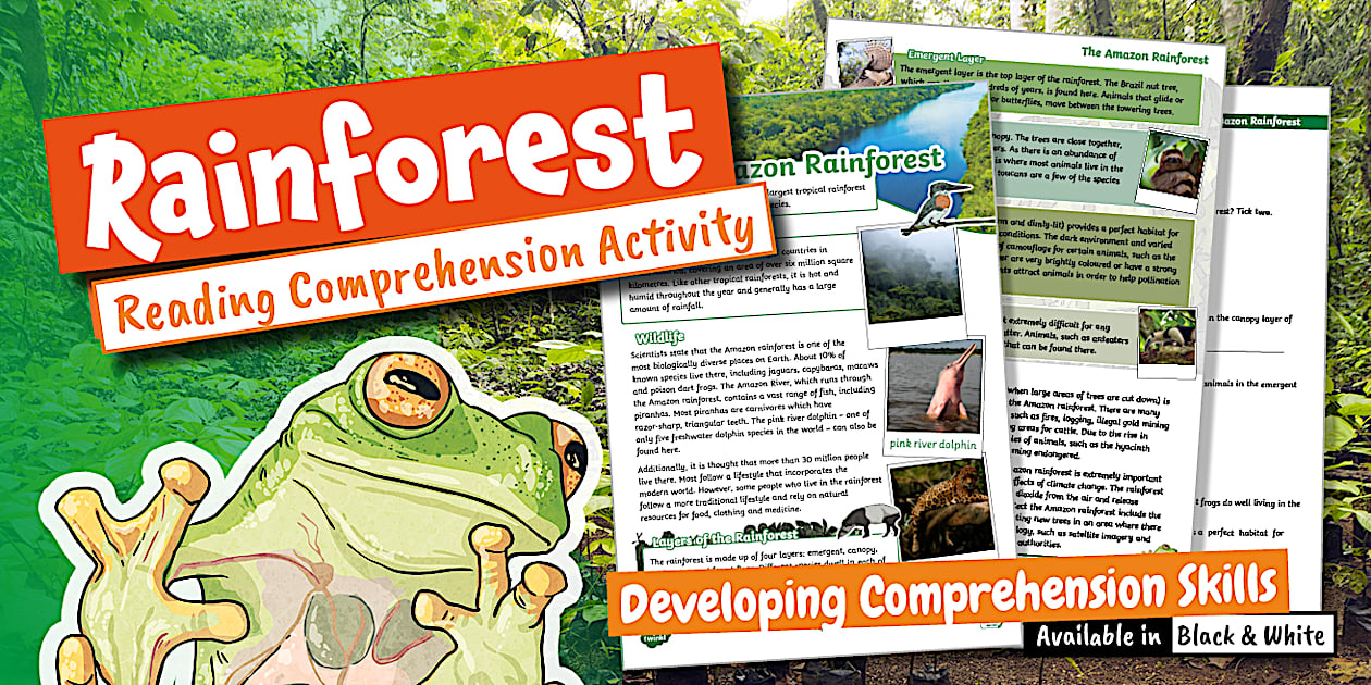 UKS2 The Amazon Rainforest Reading Comprehension Activity