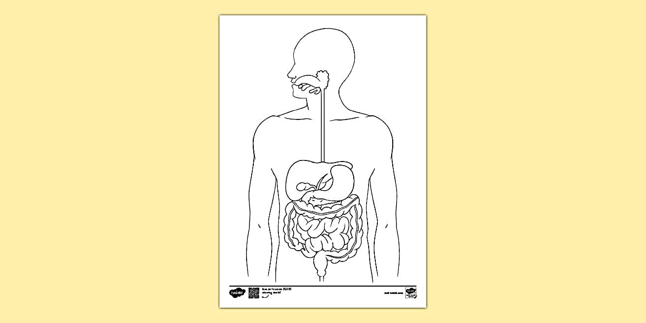Human Digestive System Cartoon Colouring Sheet Twinkl