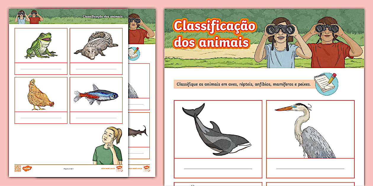 Atividade Classificação dos Animais - {Ciências} - Twinkl