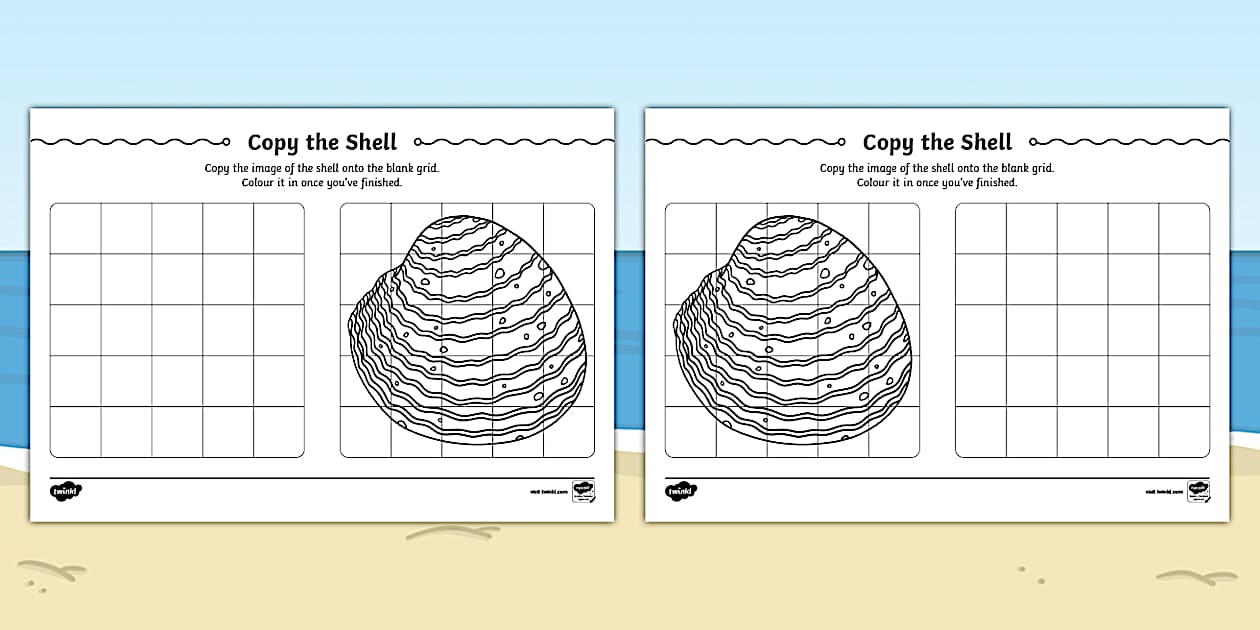 Copy the Shell Worksheet (teacher made) - Twinkl