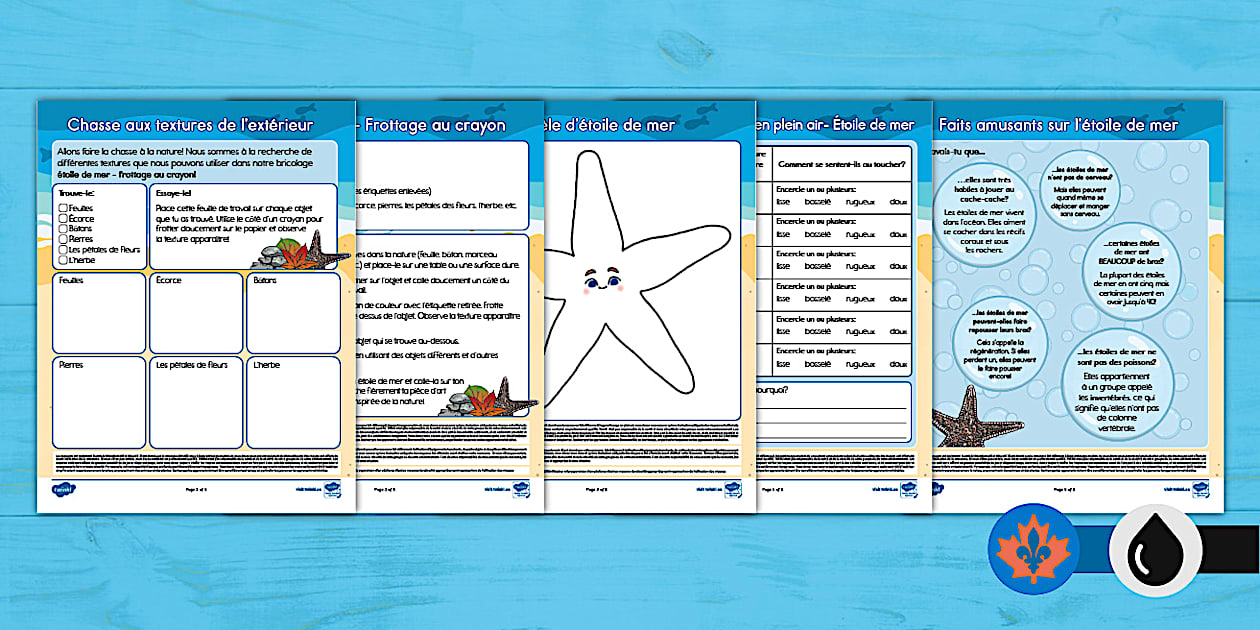 Starfish Crayon Rubbing Craft and Nature Activities French