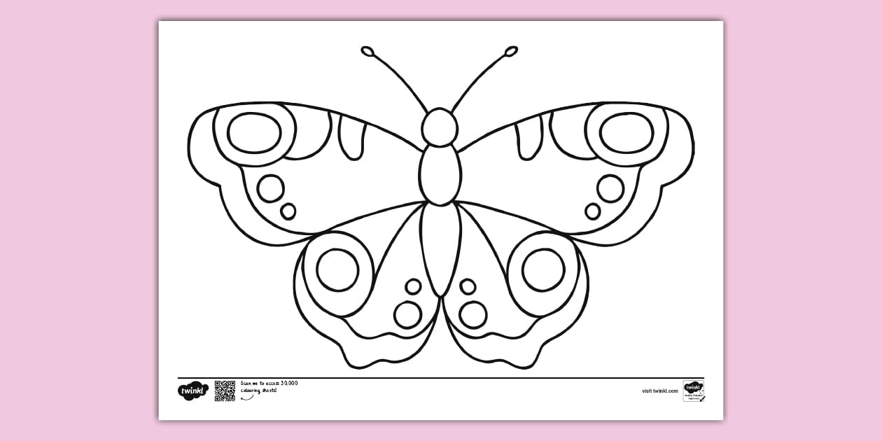 Butterfly Colouring Page | Colouring Sheets (teacher made)