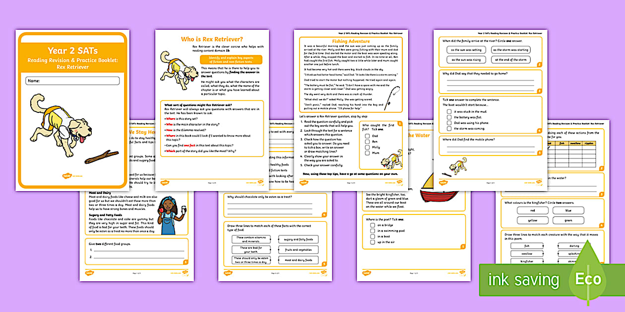 Year 2 SATs Survival: Rex Retriever Reading Revision & Practice Booklet