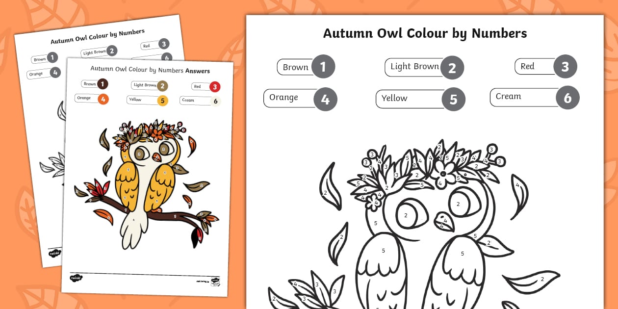 Autumn Owl Colour by Number Worksheet (professor feito)