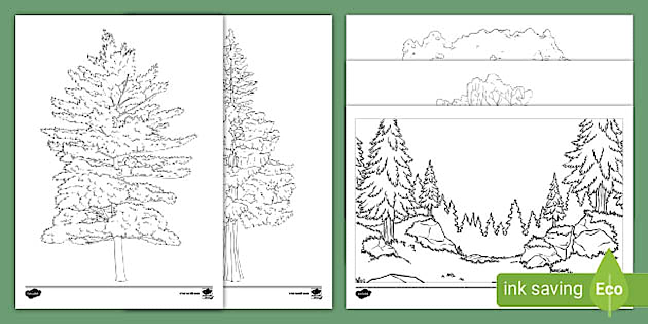 Tree Mindfulness Colouring (teacher made) - Twinkl