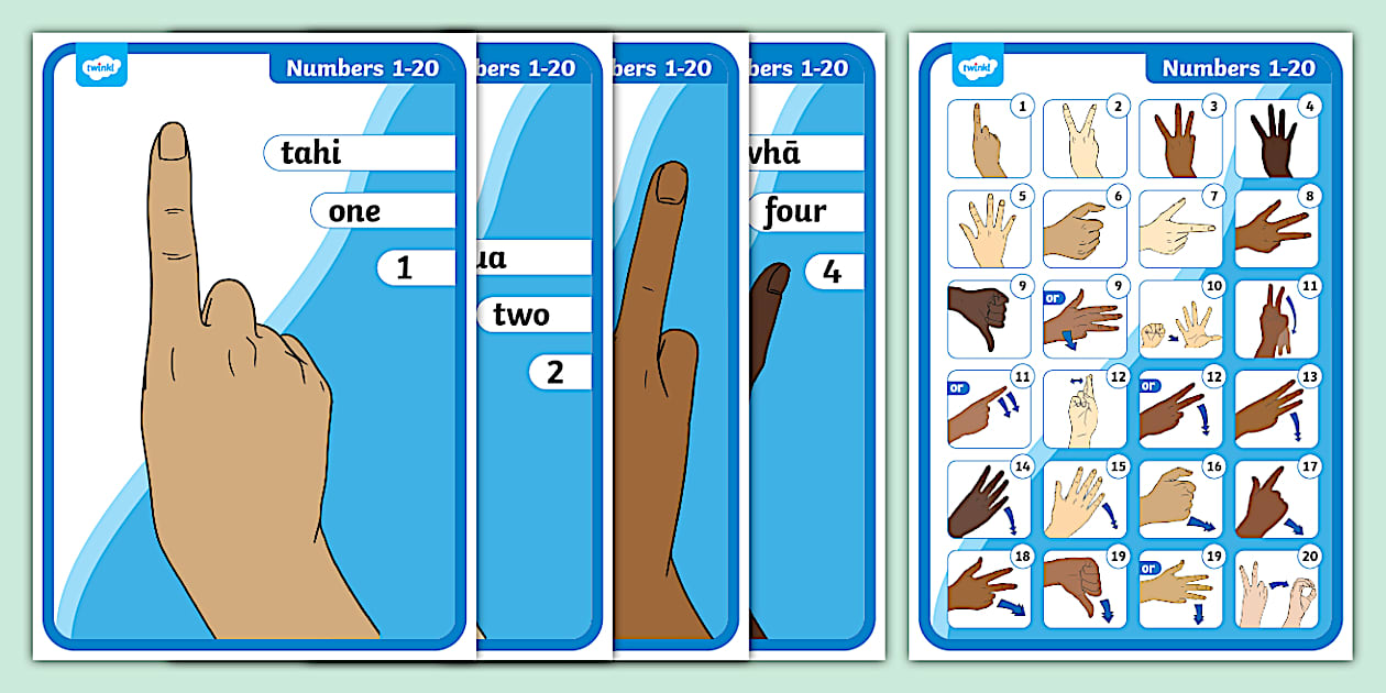 NZ Sign Language Numbers Posters | 1 to 20 | New Zealand