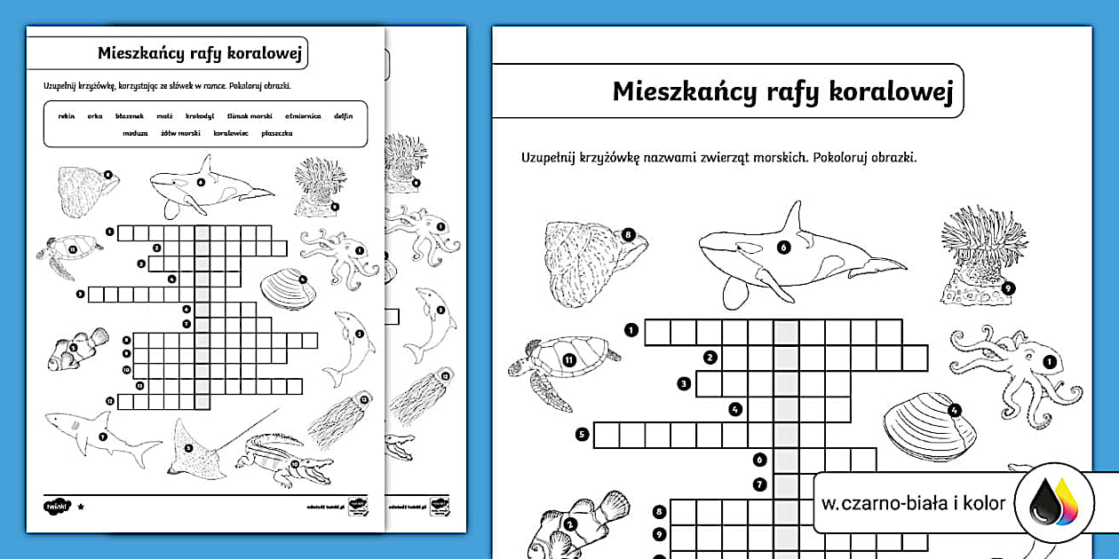 Sprawdzian Przyroda Klasa 4 Morza I Oceany Zwierzęta rafy koralowej | Krzyżówka obrazkowa | Morza i oceany
