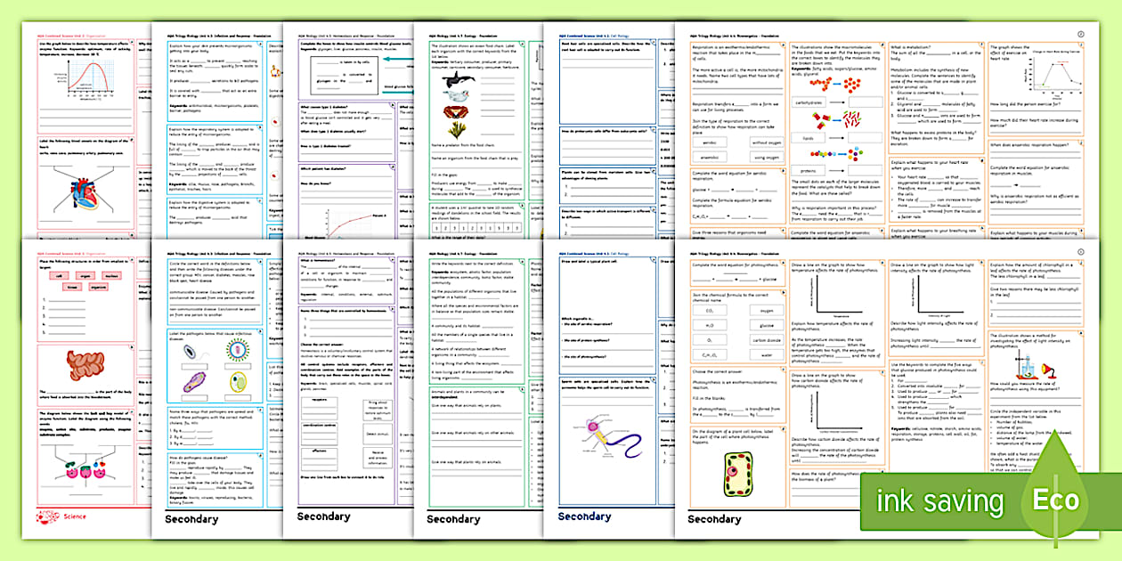 AQA GCSE Biology Revision Mats (Foundation) | Beyond