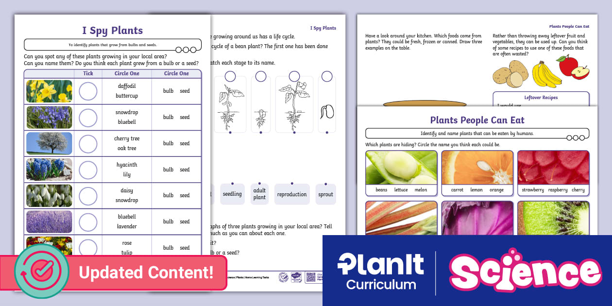 Science: Plants: Year 2 Home Learning Tasks