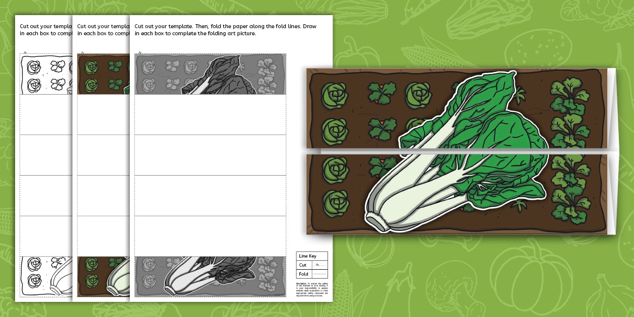 Pak Choi Folding Art Template - Twinkl Art (teacher made)