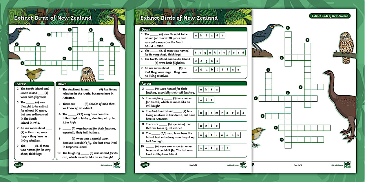 Year 3 4 Extinct New Zealand Birds Crossword Twinkl NZ Moa