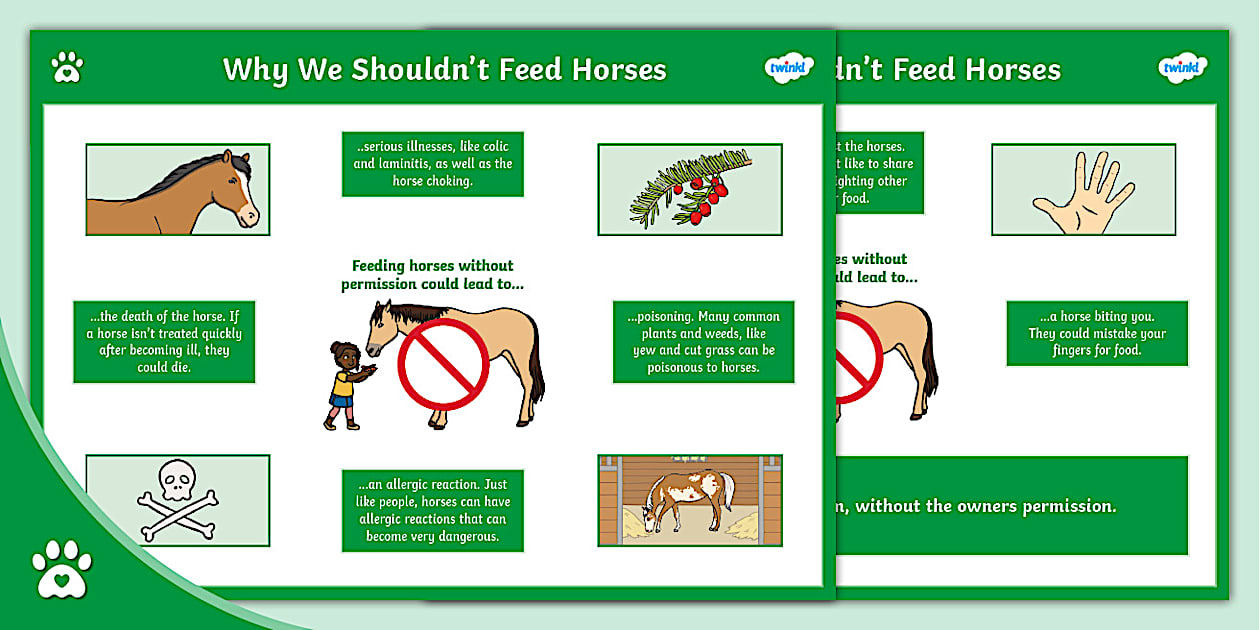 Why We Shouldn't Feed Horses - Infographic - Twinkl Pets