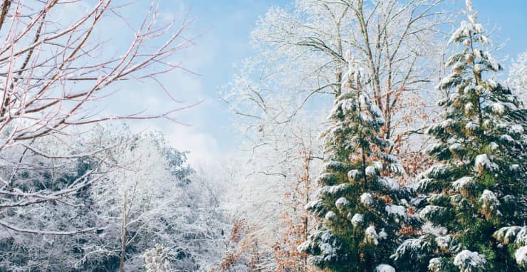 Winter Solstice 2020 Event Info And Resources