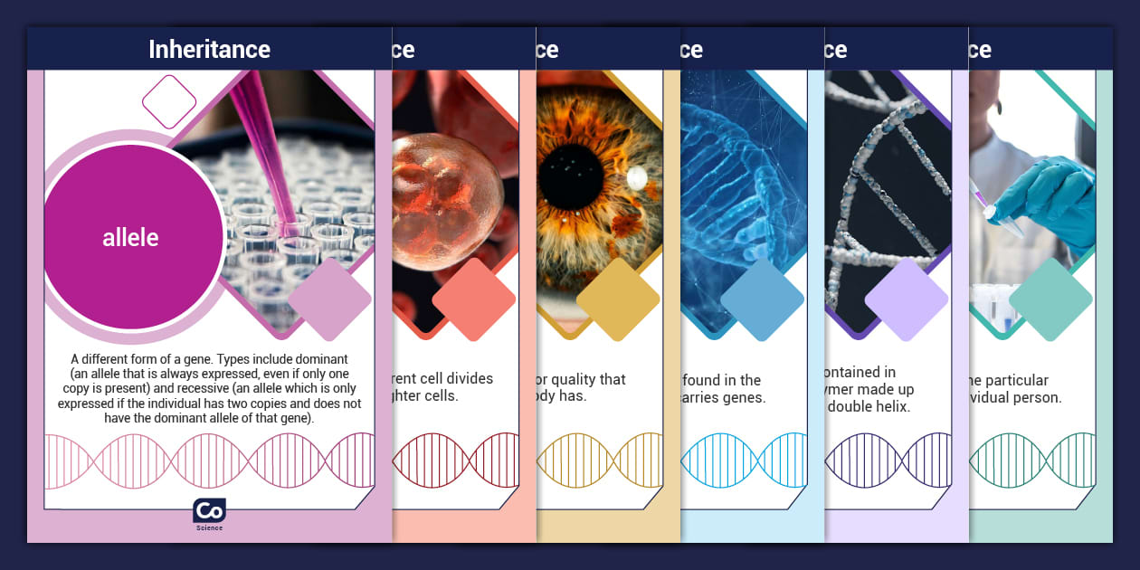 Inheritance: Display Posters (teacher made) - Twinkl