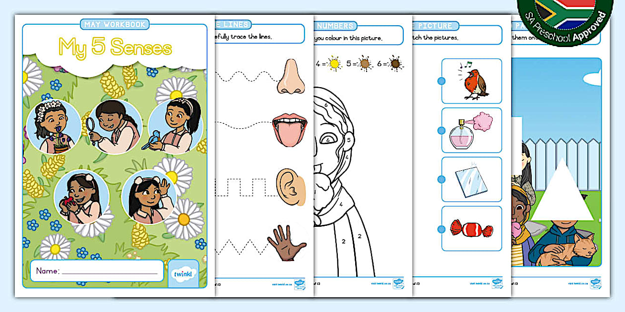 Preschool: May Workbook - My 5 Senses