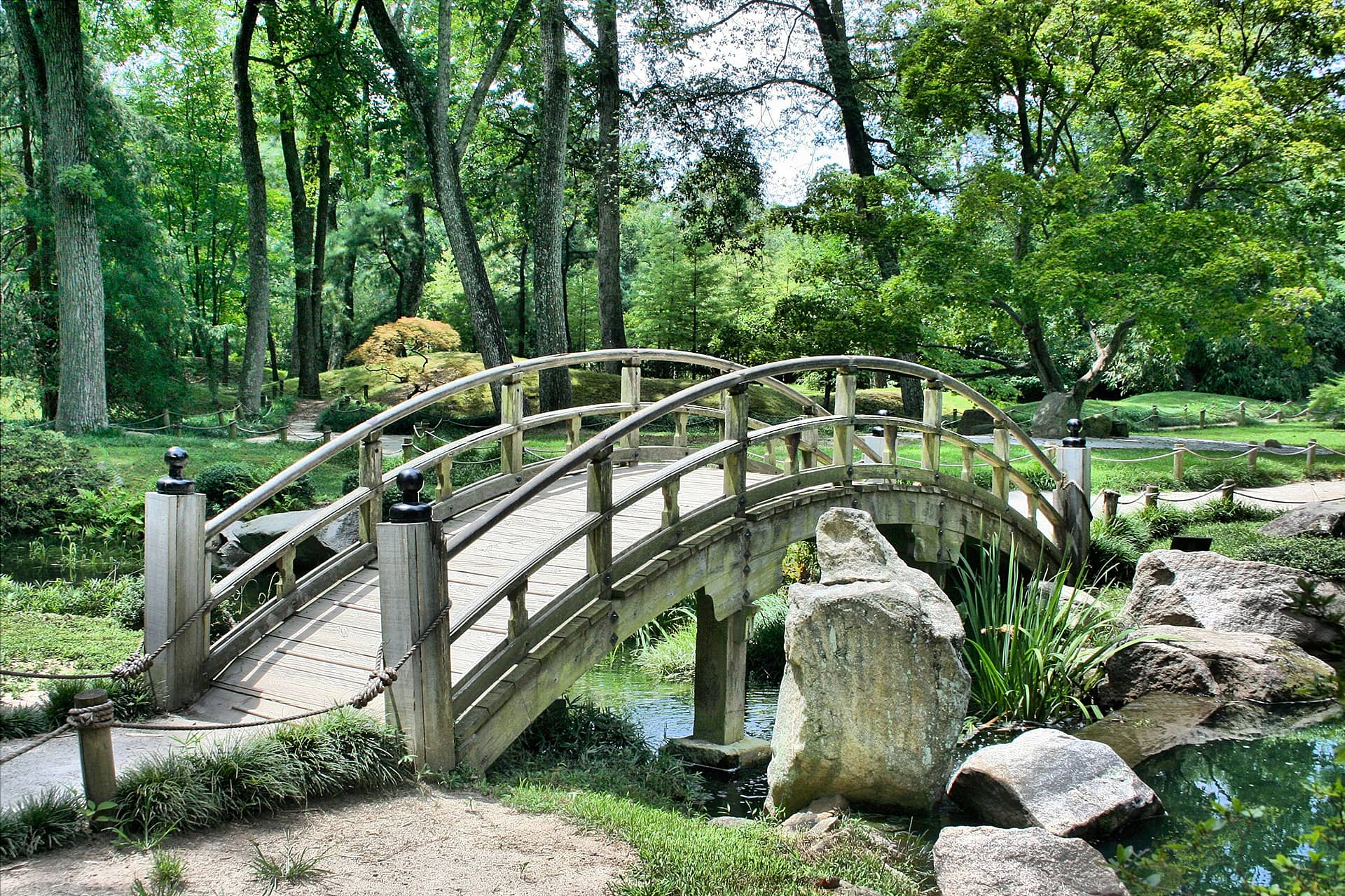 Gardens Classroom Starters & Teaching Ideas Twinkl