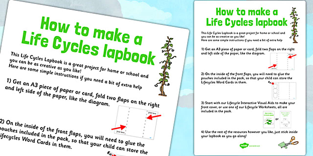 Life Cycles Lapbook Instructions Sheet (teacher made)