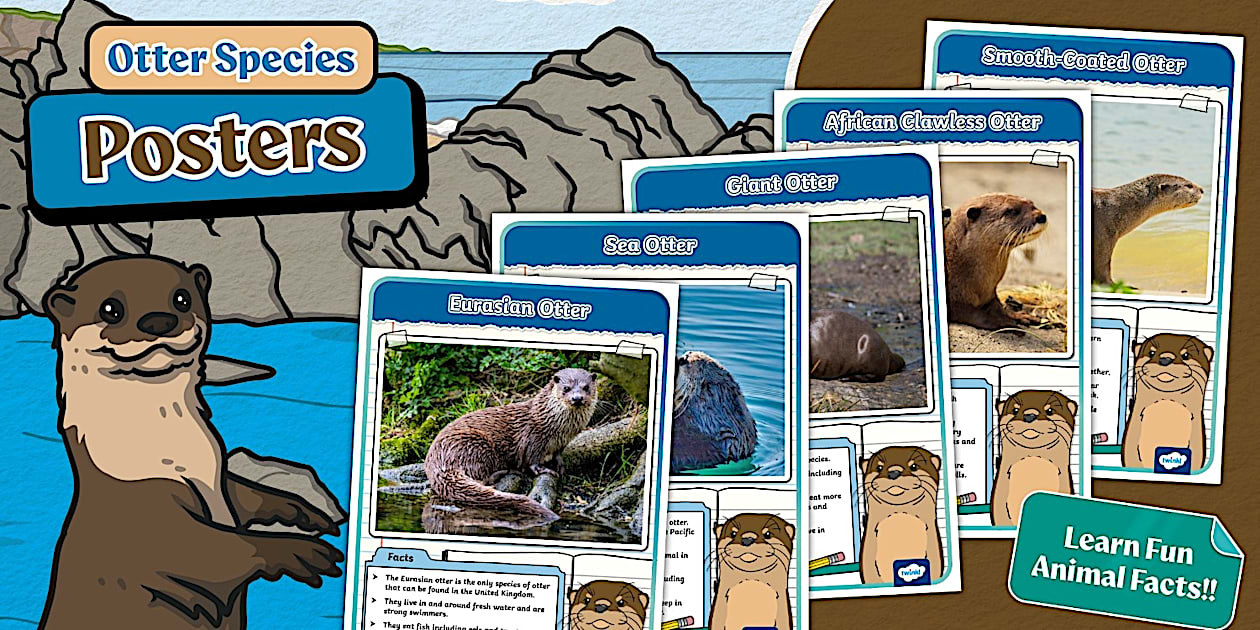 KS1 Otter Species Posters