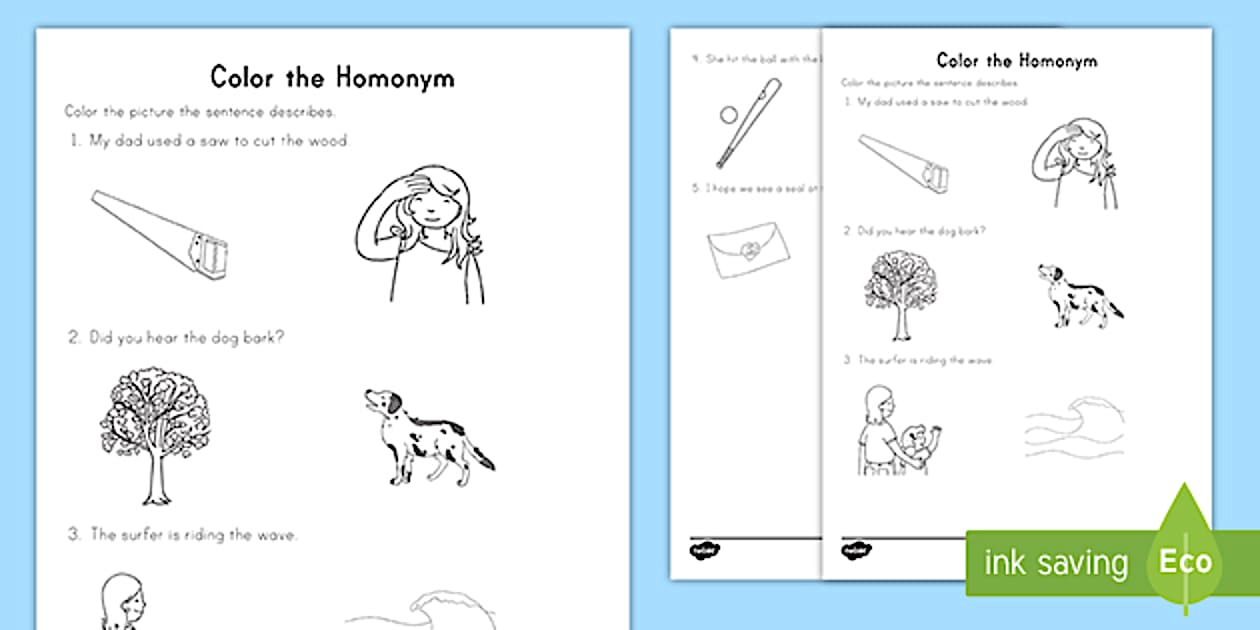 Homographic Colour Editable Color the Homonym Worksheet (Lehrer gemacht)