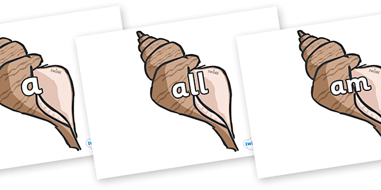 Foundation Stage 2 Keywords on Sea Shells (teacher made)