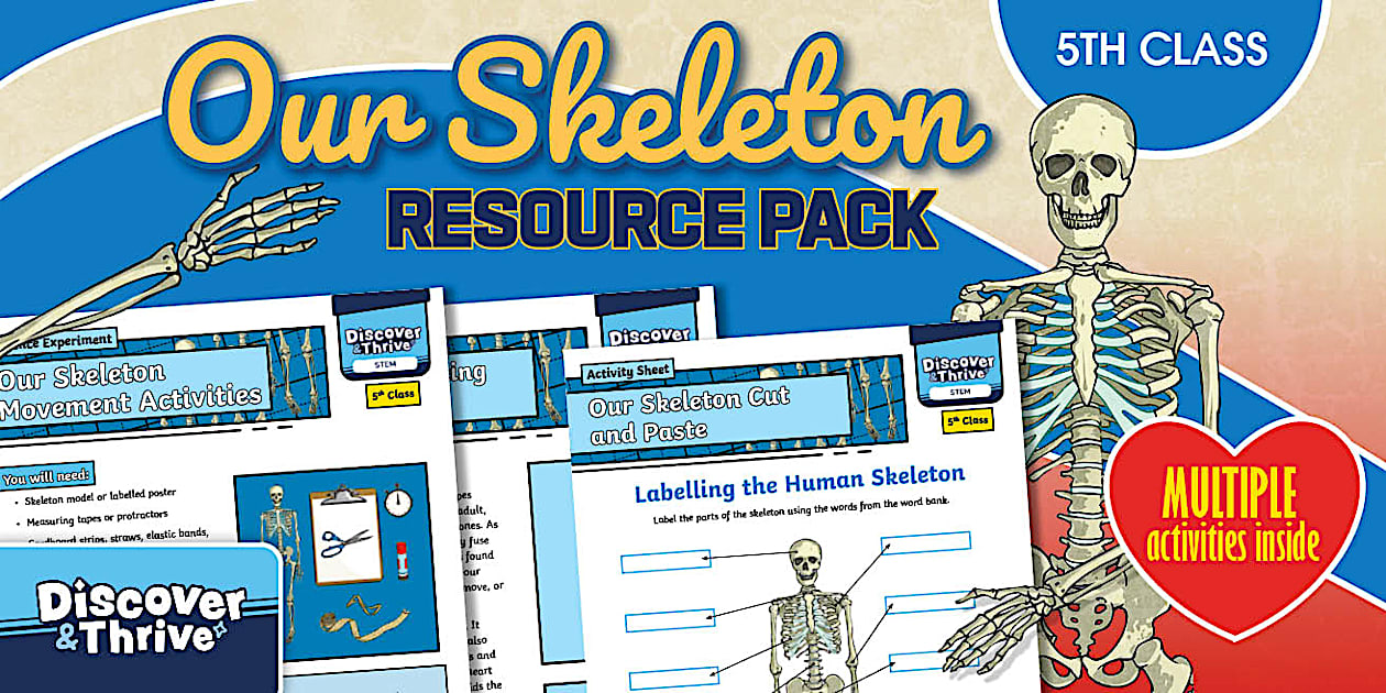 STEM Our Skeleton Resource Pack 5th Class
