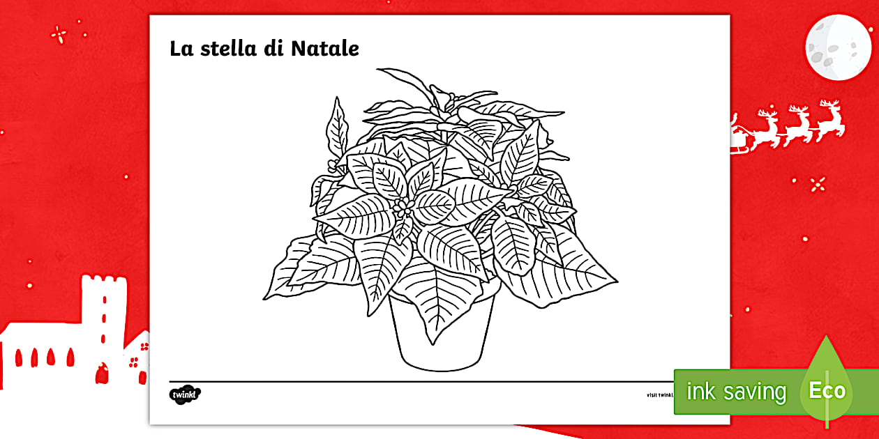 disegno di stella di natale