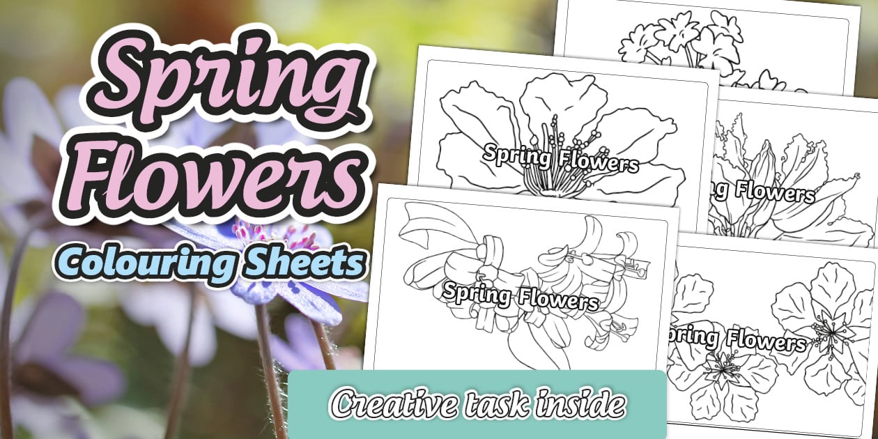 Spring Drawing Colour In Spring Flowers Colouring Sheets