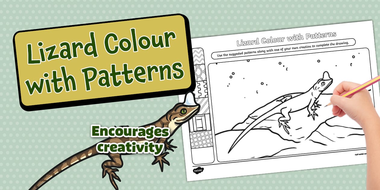 Lizard Pattern Coloring Lizard Colour with Patterns Activity