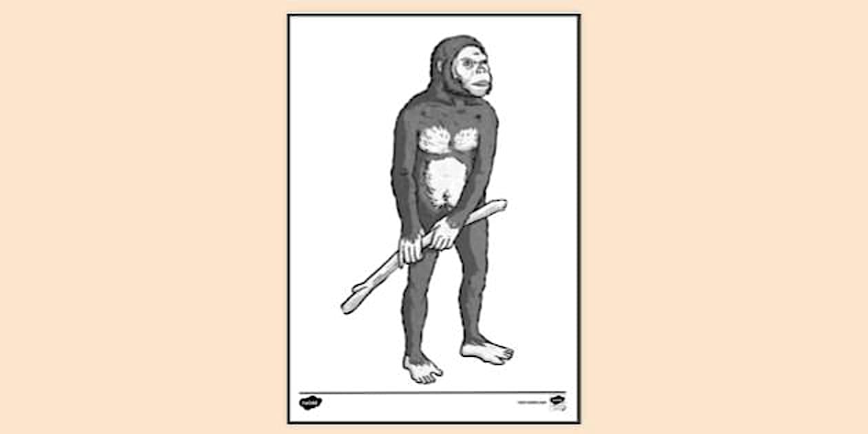 Australopithecus Africanus Colouring | Colouring Sheets