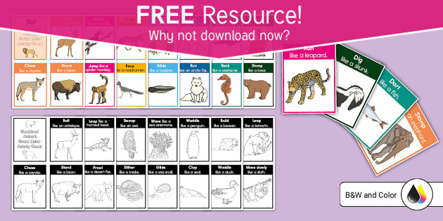 FREE! - Animals Gross Motor Activity Cards Pack - Twinkl