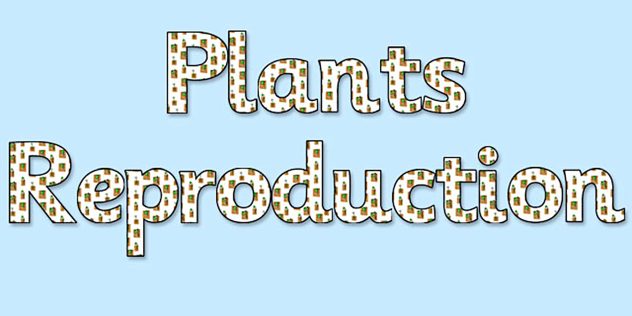 'Plants Reproduction' Display Lettering (teacher made)
