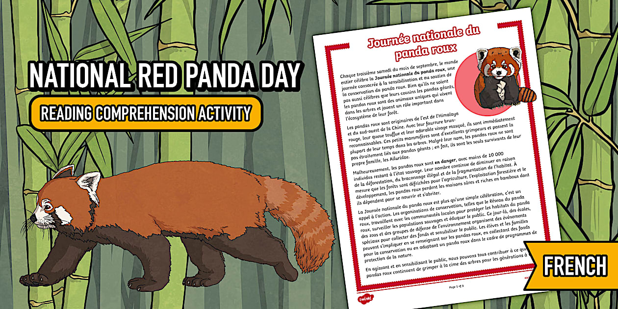 National Red Panda Day Reading Comprehension Activity French