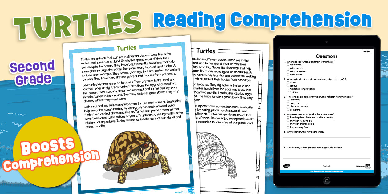 Second Grade Turtles Reading Comprehension Worksheet Second Grade Turtles Reading Comprehension Worksheet