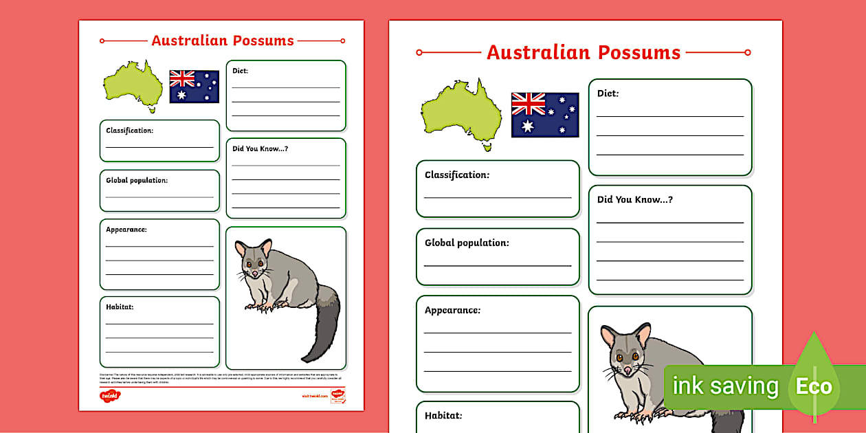 Australia Fact File Example Possums of Australia Fact File Template (teacher made)