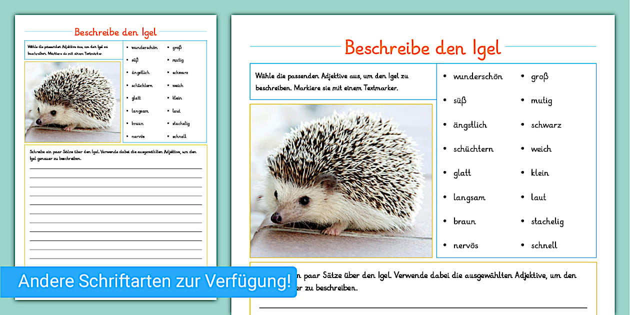 Beschreibe den Igel - Arbeitsblatt (Teacher-Made) - Twinkl