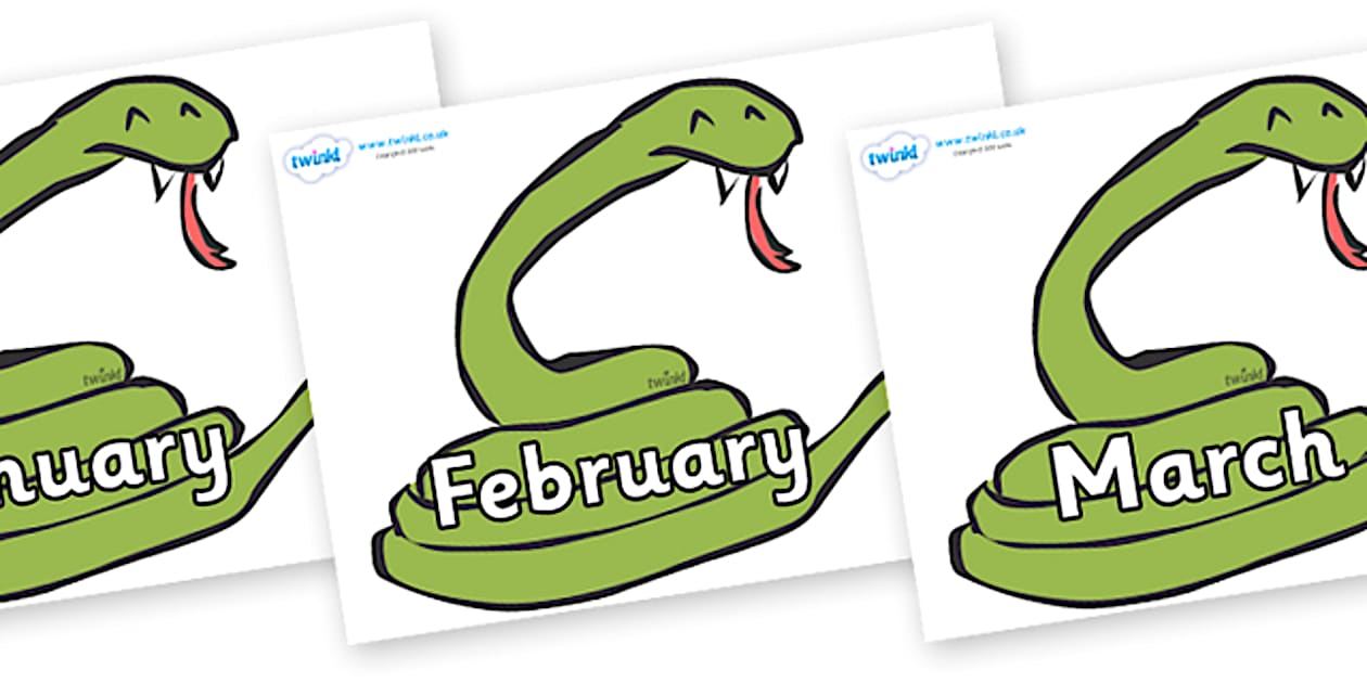 Months of the Year on Snakes (l'enseignant a fait) - Twinkl