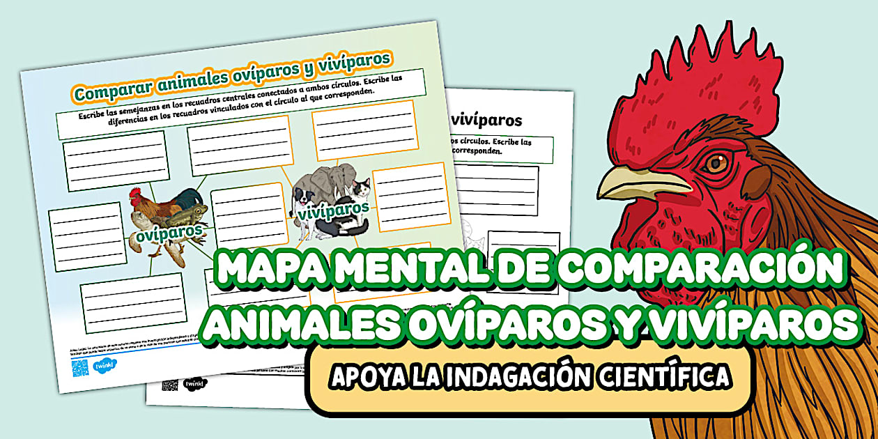 oviparous y viviparos,Mapa mental: Comparación de animales ovíparos y