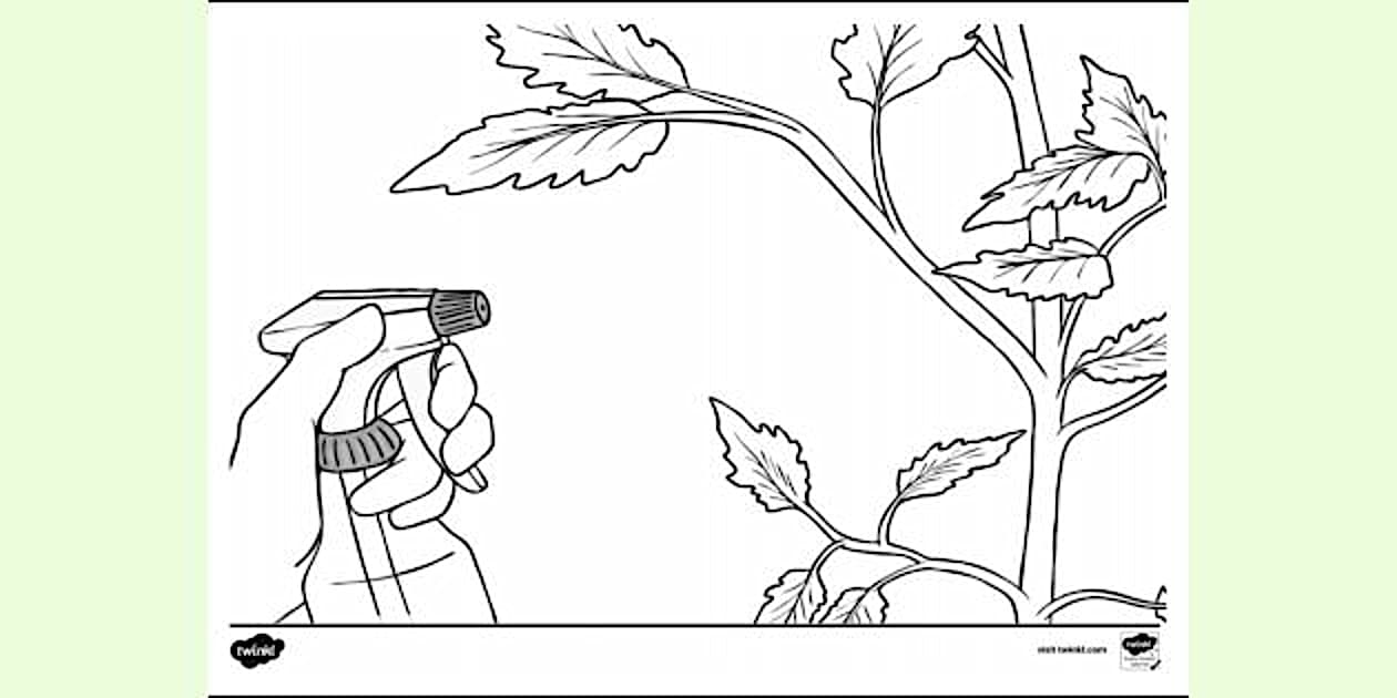 Colouring | Colouring Sheets