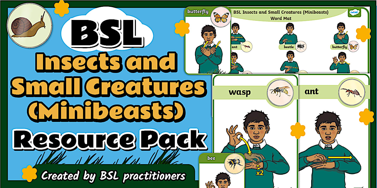 secondary small basic resources Images High Quality... BSL Insects and Small Creatures (Minibeasts) Resource Pack