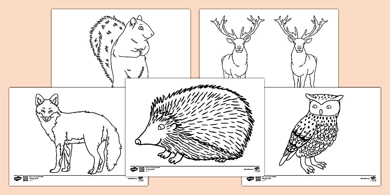 Autumn Animals Colouring Pack Autumn Animals Colouring Pack