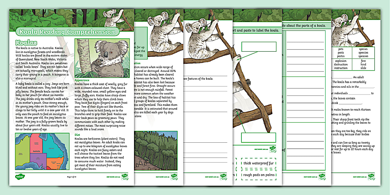 Koala Activity Booklet - Educational Resources for Primary