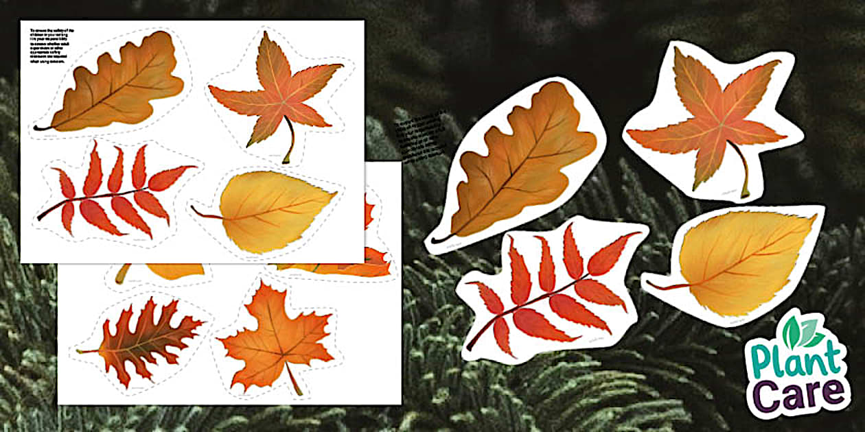 Printable Autumn Leaf Cut Outs (Teacher-Made) - Twinkl