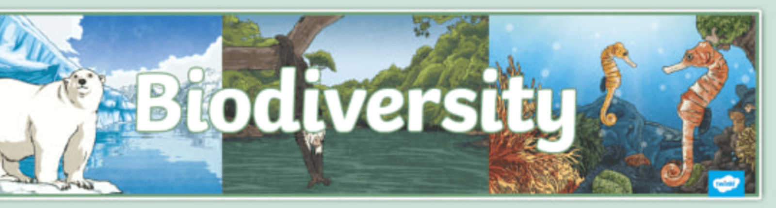 biodiversity poster for school project