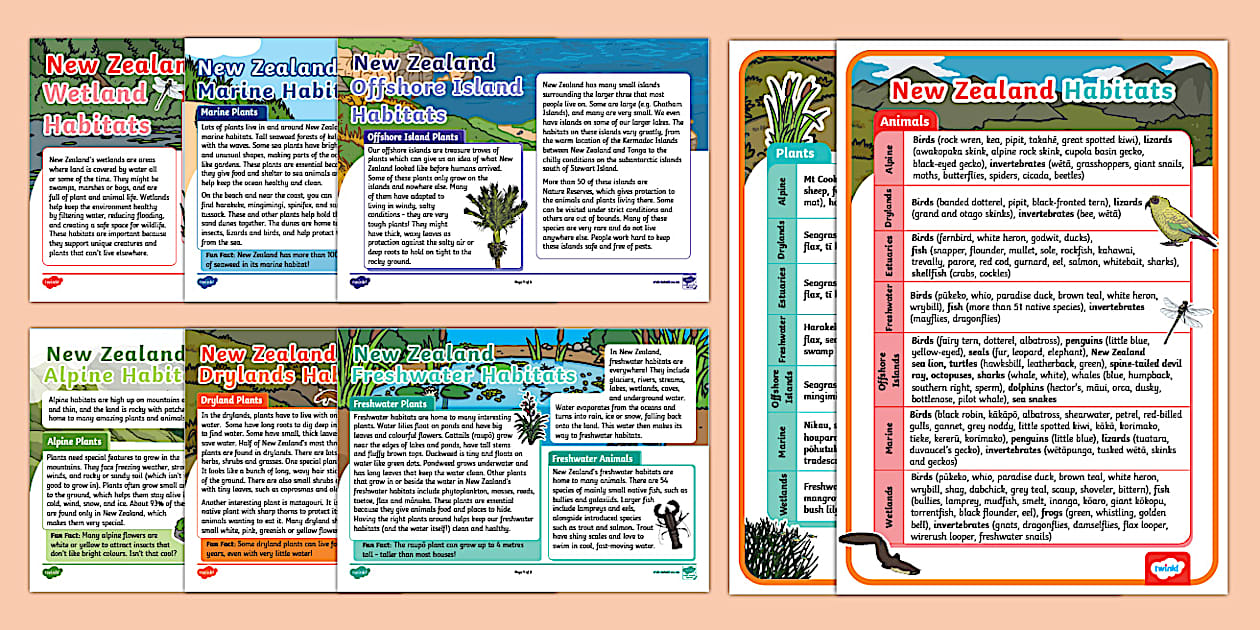 Natural Habitats New Zealand: Fact File Pack for Children