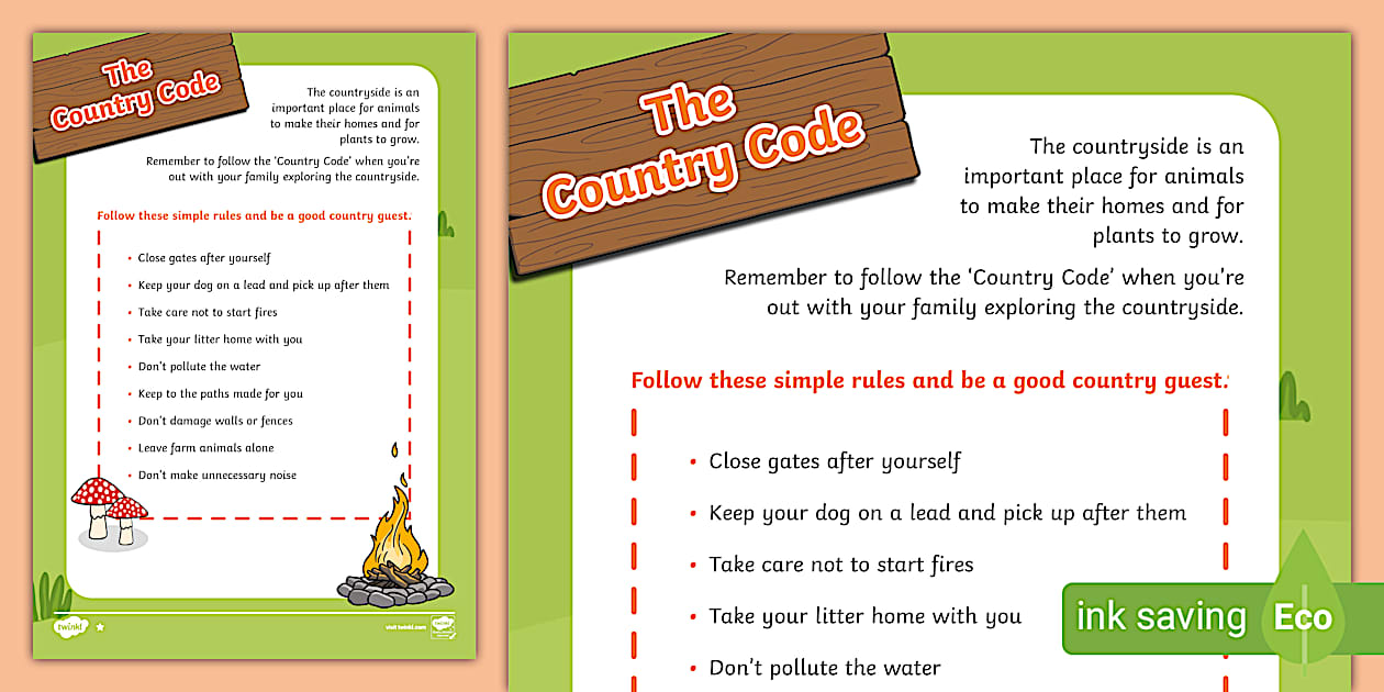 Country Code Differentiated Comprehension - Twinkl