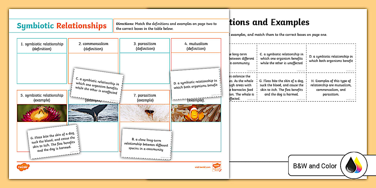 Symbiotic Relationships Vocabulary Matching Worksheet