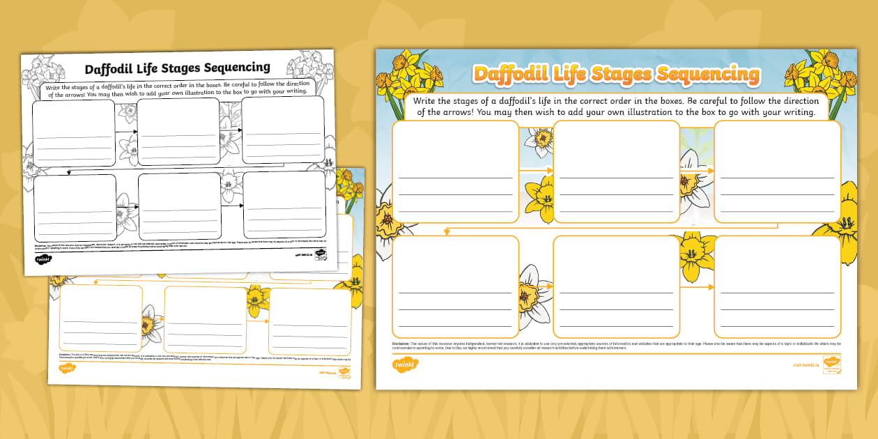 Daffodil Life Stages Sequencing Mind Map (teacher made)