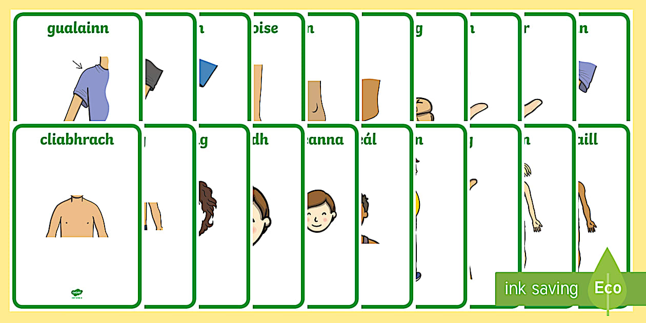 Body Displant Parts of the Body Display Posters Gaeilge