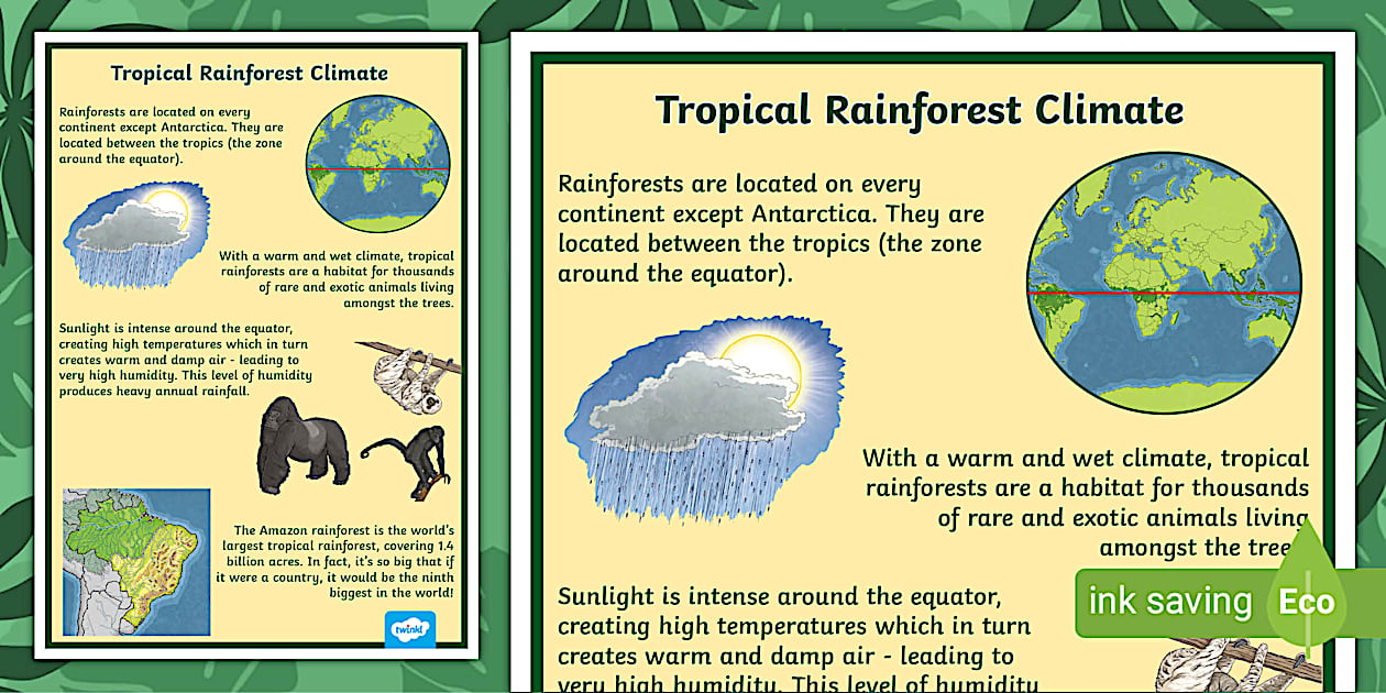 Tropical Rainforest Climate Display Poster